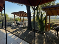 Cafe Susesi Dn Salonu