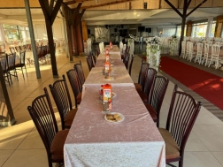 Cafe Susesi Dn Salonu