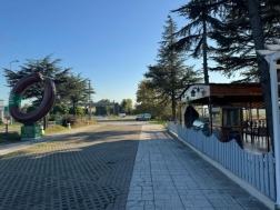Cafe Susesi Dn Salonu