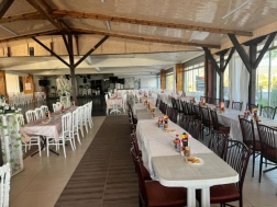 Cafe Susesi Dn Salonu