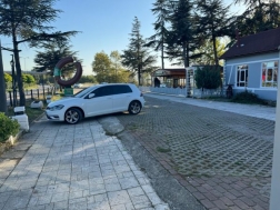 Cafe Susesi Dn Salonu