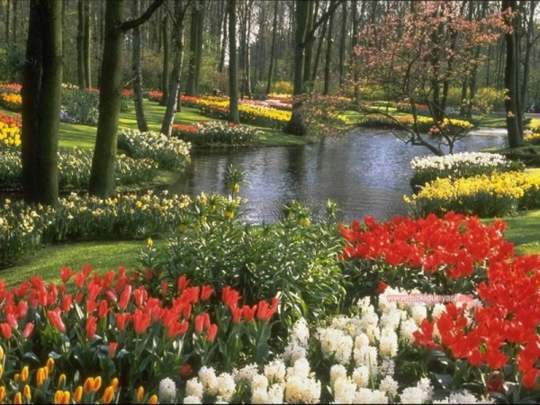 Resmin B�y���n� G�rmek ��in T�klay�n�z